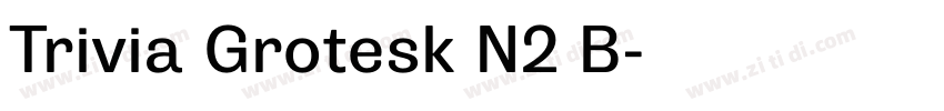 Trivia Grotesk N2 B字体转换 Trivia Grotesk N2 B字体转换
